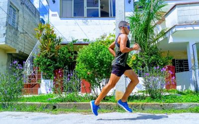 Carreras virtuales