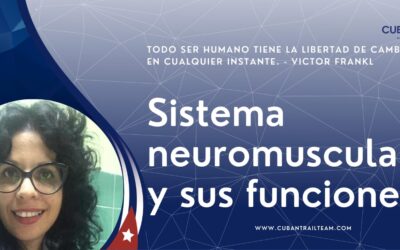 Las funciones del sistema neuromuscular